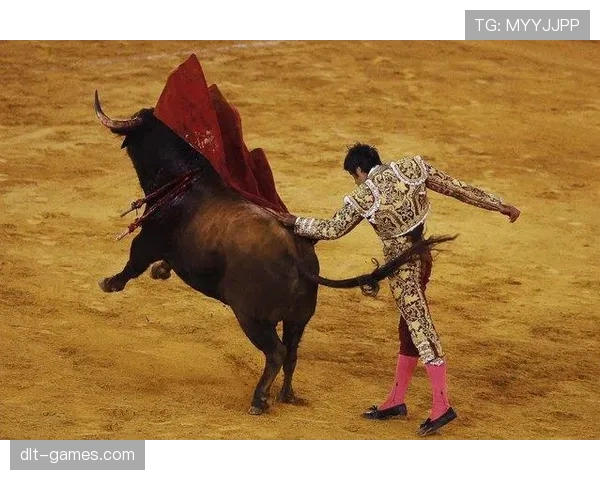 西班牙斗牛士风格 西班牙斗牛士风格